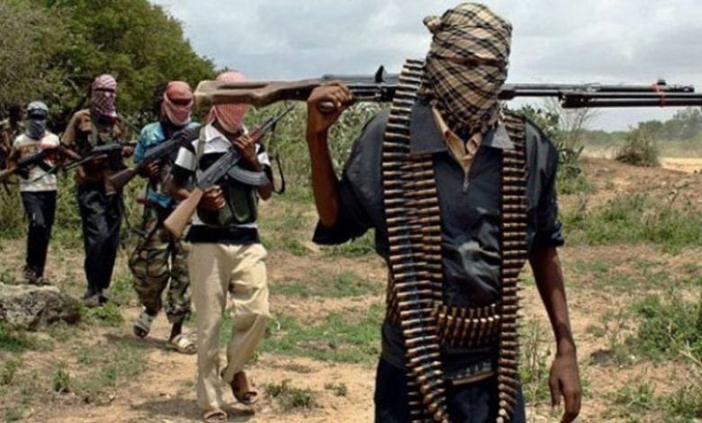 BANDITS Yobe FCT