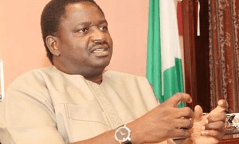 Femi Adesina