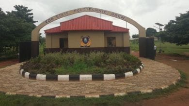 Edo Poly