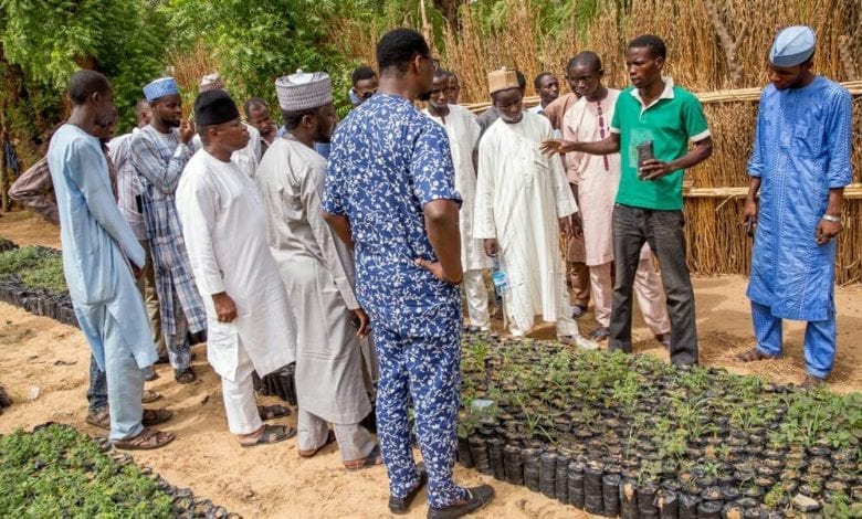 N-Power Farm workers agribusiness
