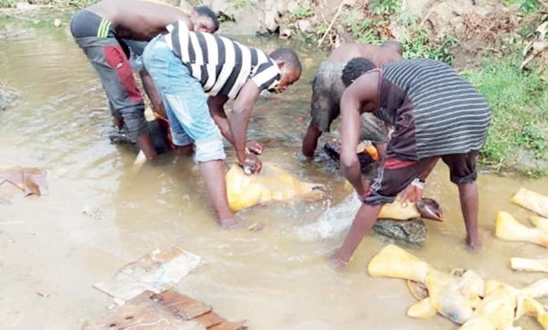 Inside Abuja’s abattoirs