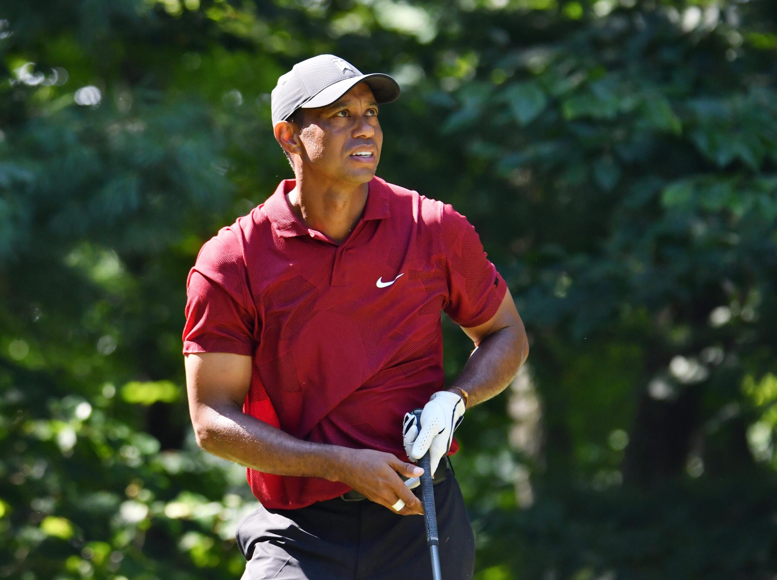 Tiger Woods