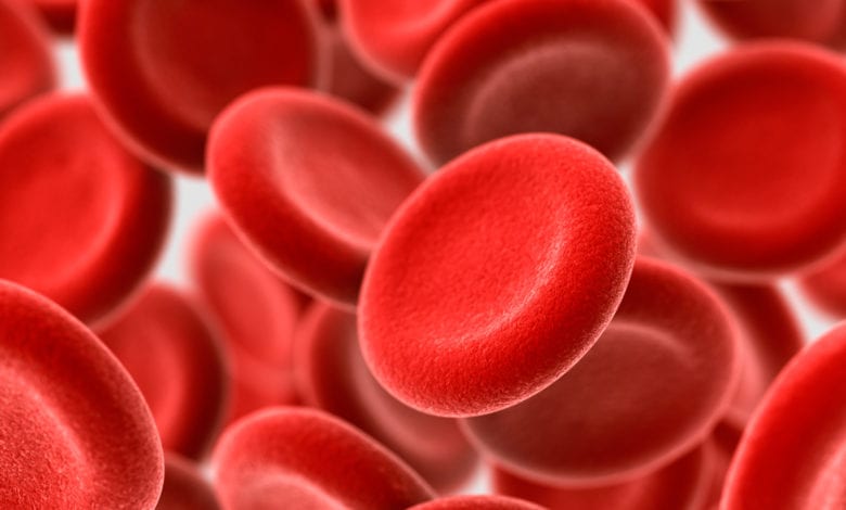 blood