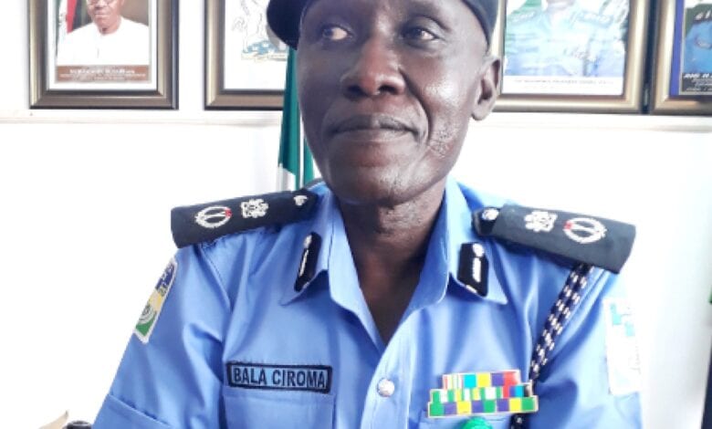 Commissioner of Police FCT, Bala Ciroma