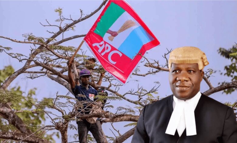 Opeyemi Bamidele apc