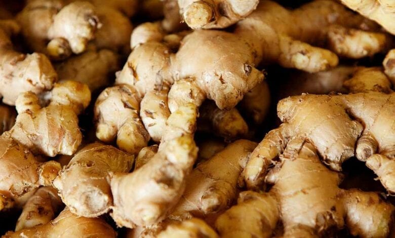 Ginger