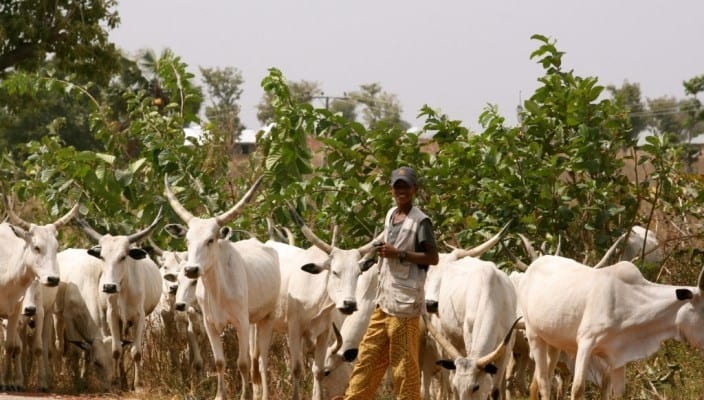herdsmen Miyetti Allah
