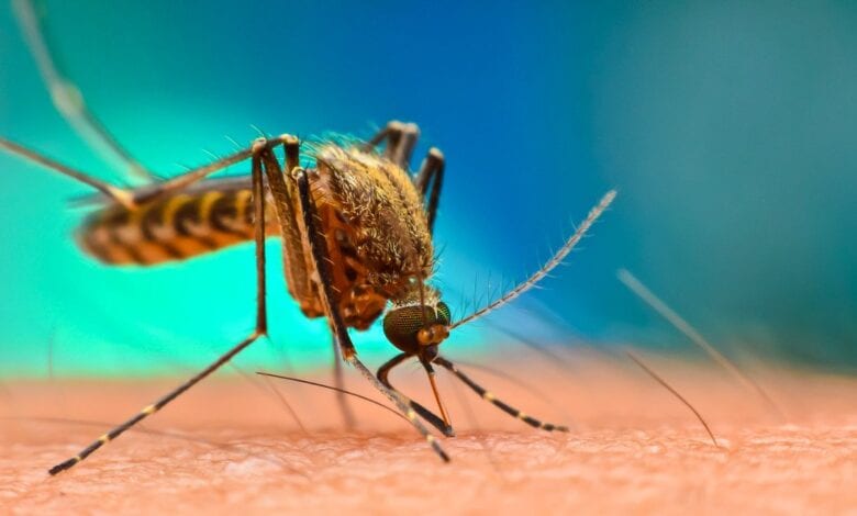 malaria FG to eliminate malaria prevalence from 27% to zero%