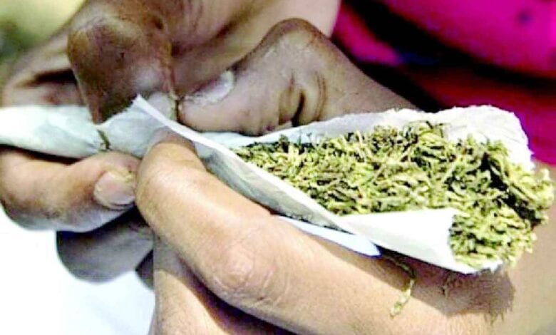 2 arraign over alleged smoking of Indian hemp