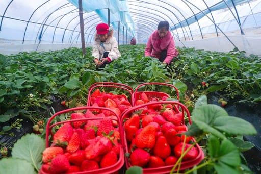 China poverty reduction