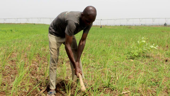 Expert cautions farmers against early planting on Climate change