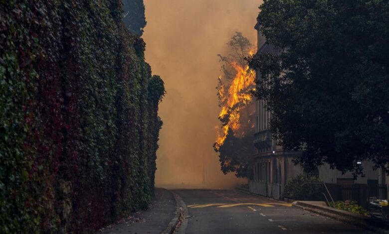 Fire on Cape Town’s Table Mountain