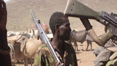 KADUNA Suspected FULANI herdsmen attack IDPs camp, kill 7 in Benue