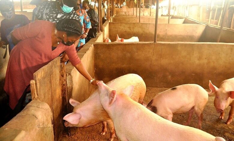 Olusanya agricultural