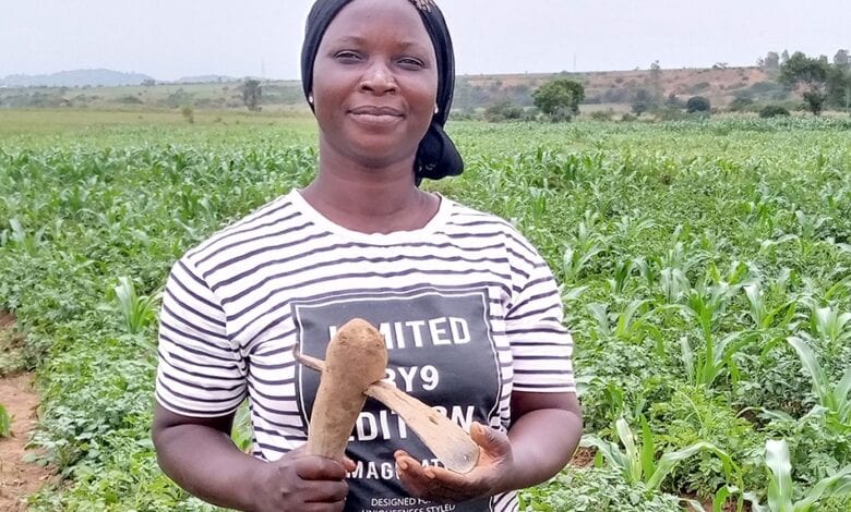 Potato support project empowers farmers in Plateau