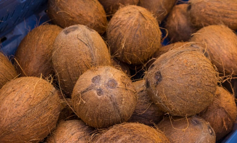 coconut Nigeria