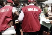 NDLEA