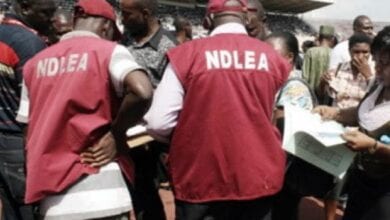 NDLEA