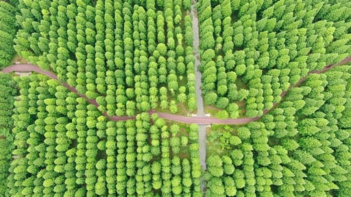 BIODIVERSITY
