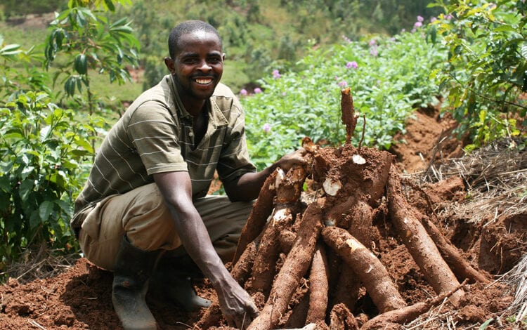 Osun Farmers