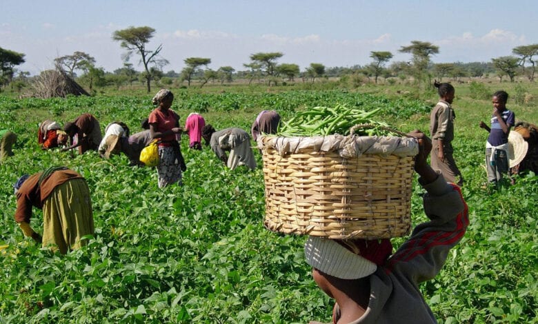 Farmers NUJ