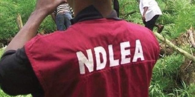 NDLEA