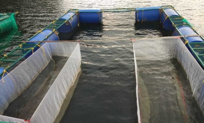 fishfarm