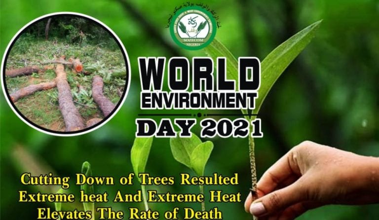Sokoto tree planting