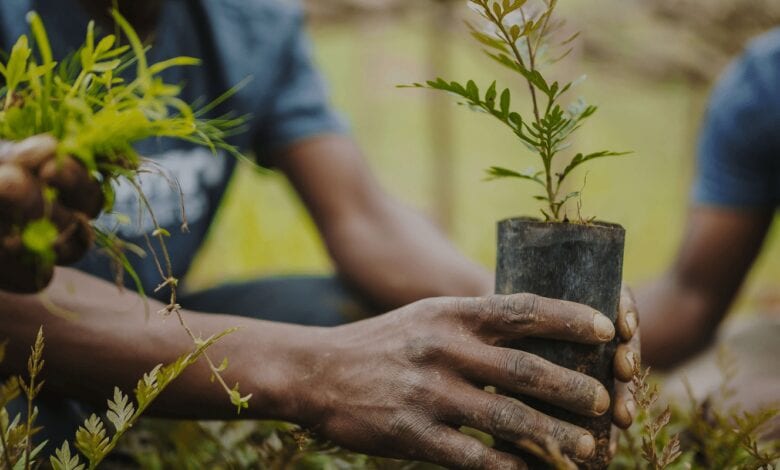 World Environment Day