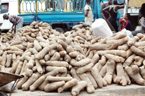 yam