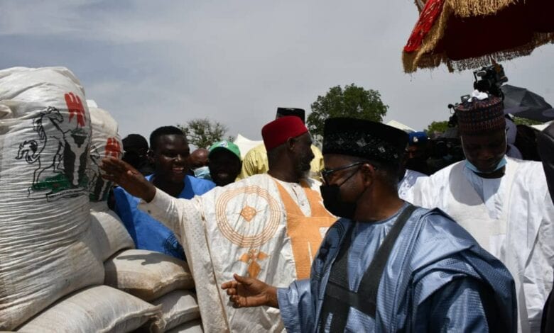 Bauchi