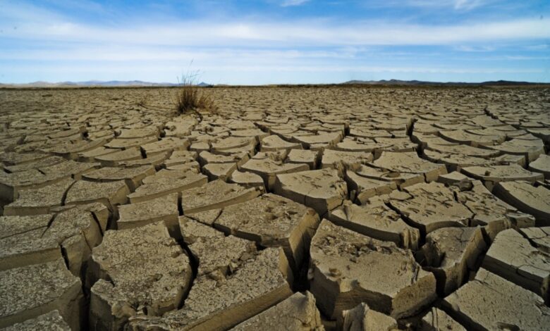 Climate change land on Earth