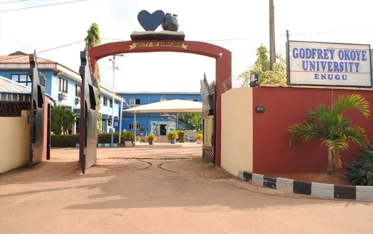 Godfrey Okoye University