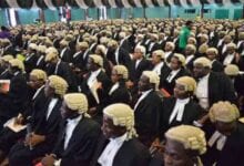 Law School lawyers
