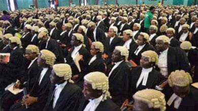 Law School lawyers