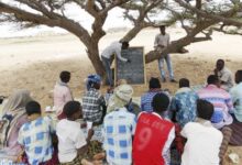 NCNE trains staff
