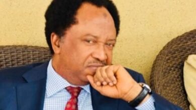 SHEHU SANI