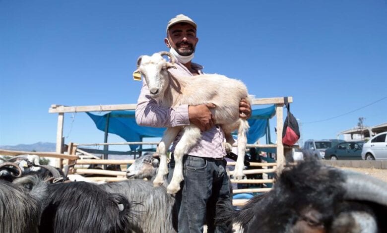 Turkey’s Eid al-Adha