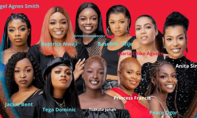 bbnaija ladies