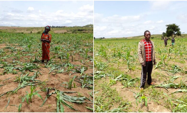 farmlands in Plateau