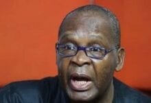 joe igbokwe