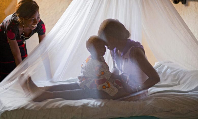 mosquito-nets