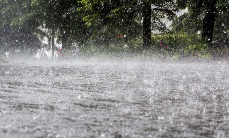 Rainfall disrupts