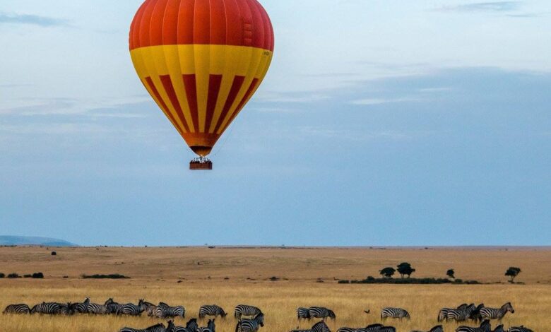 Kenya partners