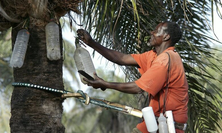 Palm wine