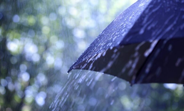 rain