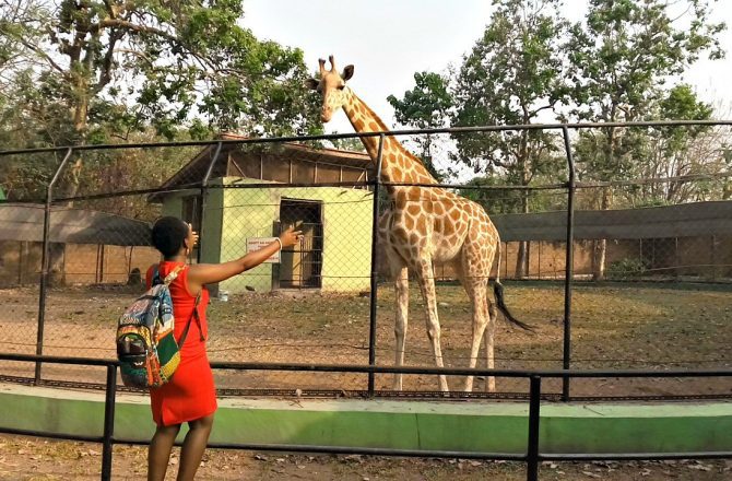 Borno zoo