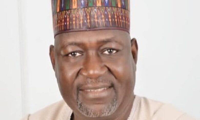 Minister of Power, Mr. Abubakar Aliyu
