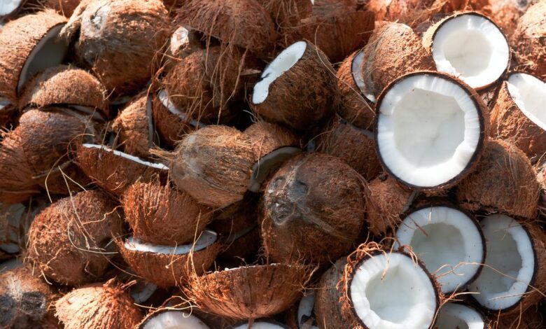 Coconut Lagos
