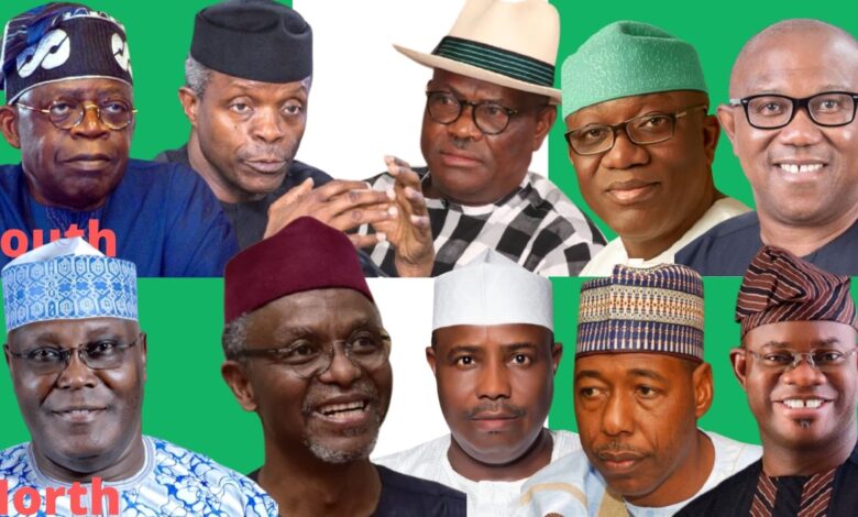 Tinubu Fayemi, Osinbajo, Obi, Wike, Atiku, Yahaya, el-Rufai, Zulum, Tambuwal (1)